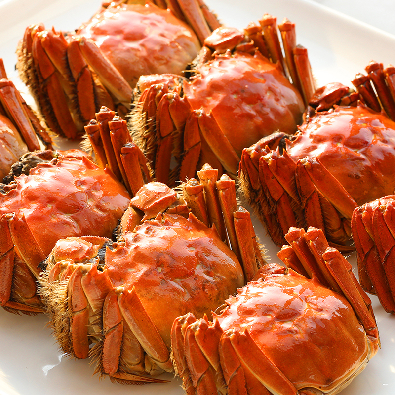 江苏扶贫洪掌柜缤纷泗洪大闸蟹礼盒45公35母共10只9月次年3月