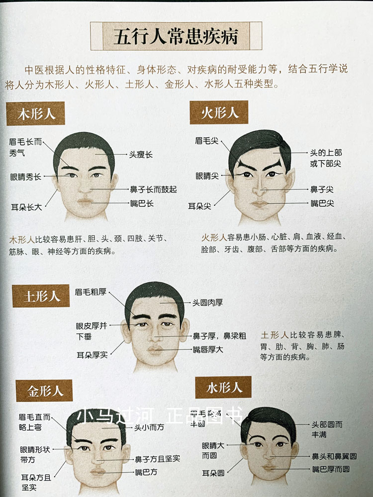 [正版]《 图解一次完全读懂中医》 中医入门书籍自诊中医书籍中医基础理论中医养生补肾家庭健康中医书保健/养生中医养生书高清大图