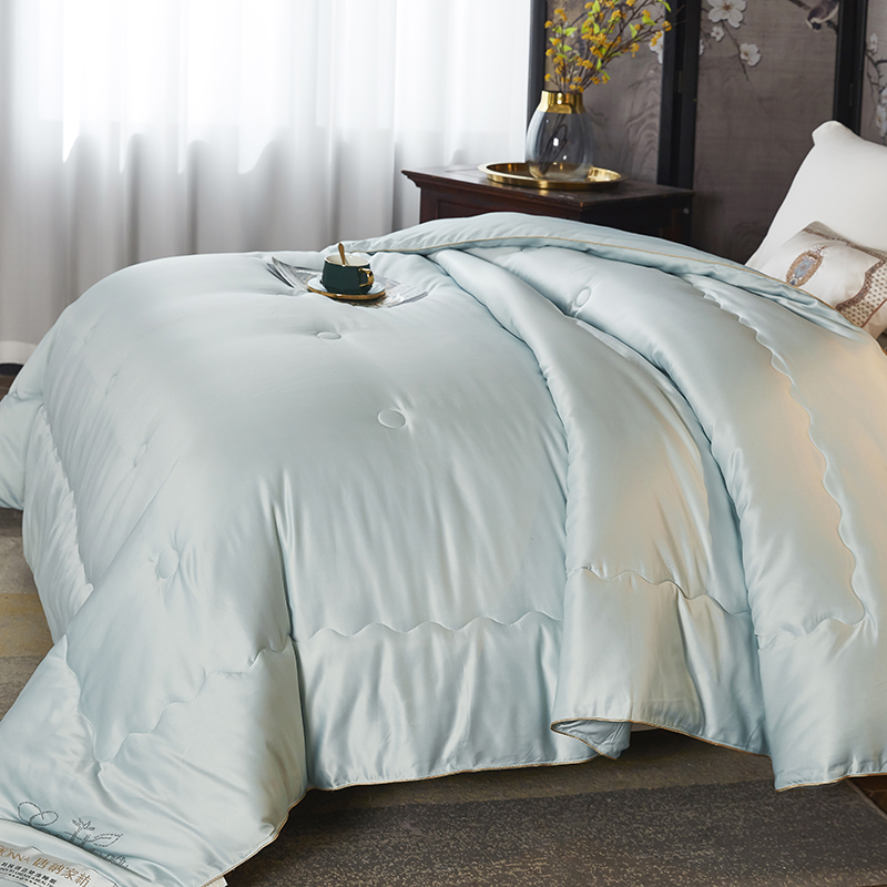 唐纳家纺 臻品60德绒冬被-雅绿 200×230cm/3000g- TN-SAQ21041高清大图