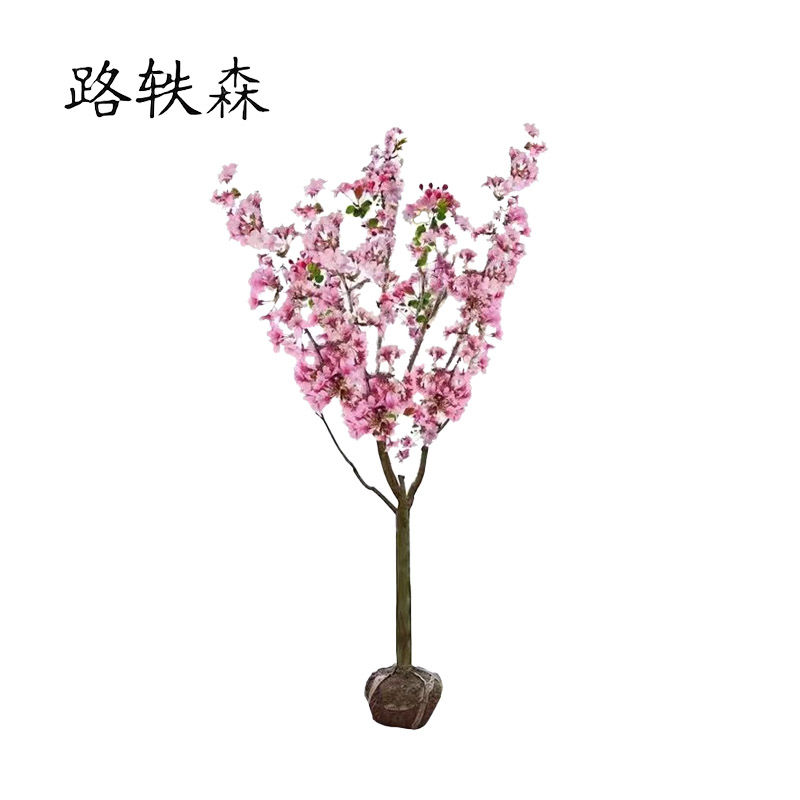 路轶森 海棠树 5公分 棵高清大图