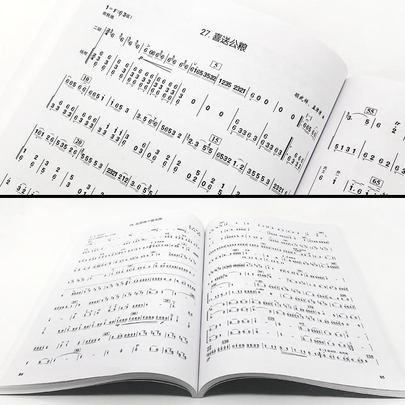 二胡独奏经典名曲 [正版]二胡独奏经典名曲 二胡曲谱大全 二胡古典乐谱胡琴精选流行歌曲练习曲中老年人红歌老歌弹唱曲集二胡