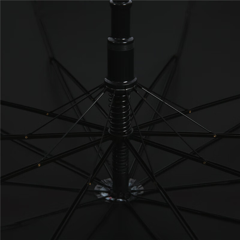天堂伞(HWM) 加大加固全遮光70cm*10骨直杆商务伞193E高清大图