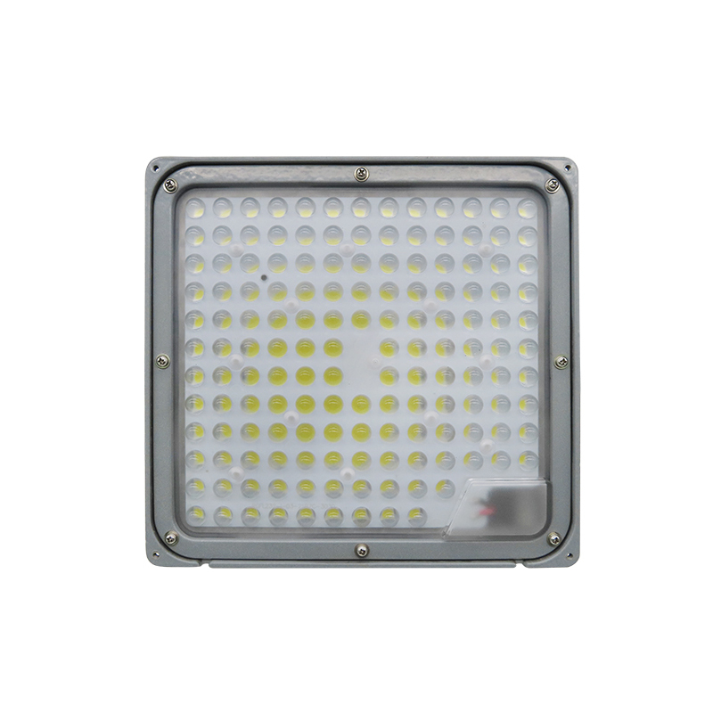日昇之光(RECEN) RGFL232-100W 5700K/220V 防护等级:IP65 LED泛光灯高清大图