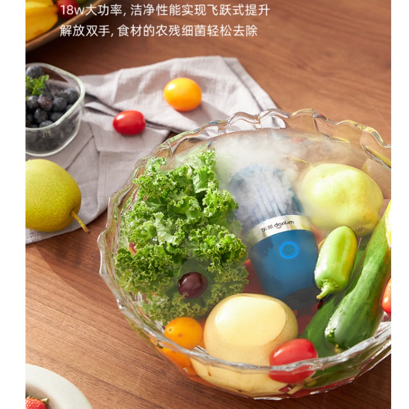 东菱(Donlim)家用胶囊果蔬净化器Plus DL-1212高清大图