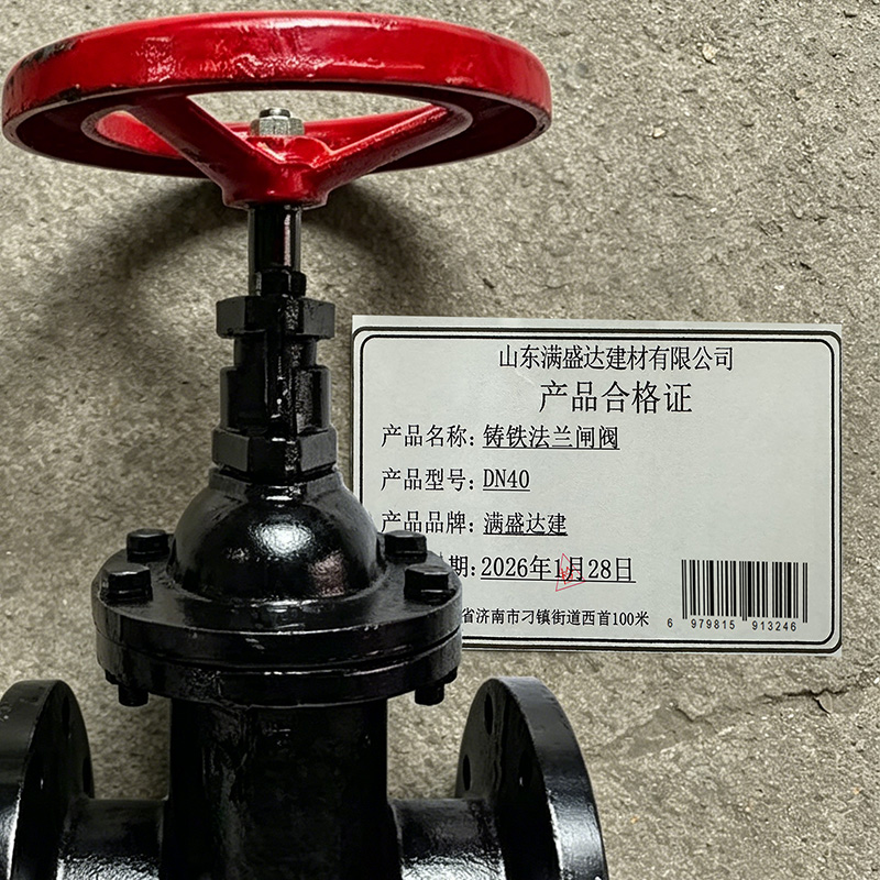 满盛达建 铸铁法兰闸阀 个 DN40个