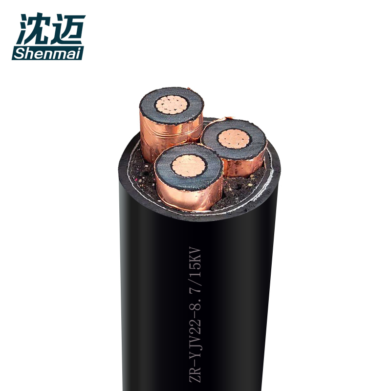 沈迈 铜芯铠装电缆 ZC-YJV22-10-1-3*240mm² /米高清大图