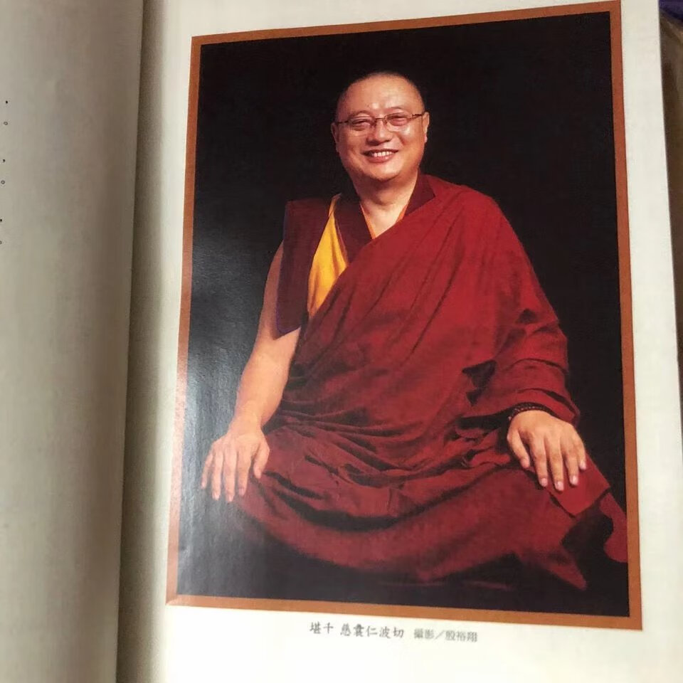 看着你的心 证悟的老狗 巴楚仁波切这样直指心性高清大图