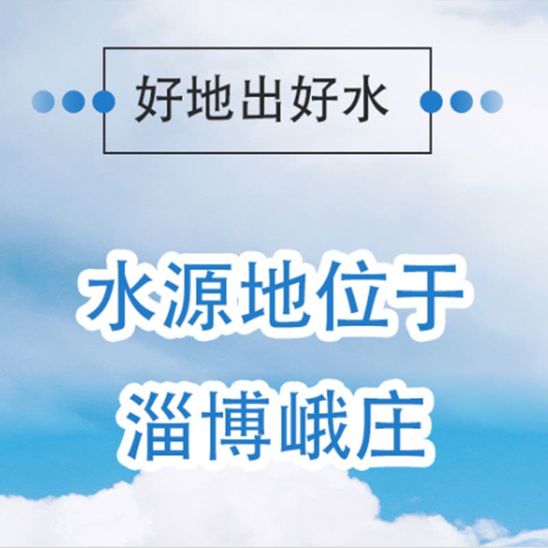 1+T 饮用天然矿泉水 380ml*24瓶/箱图片
