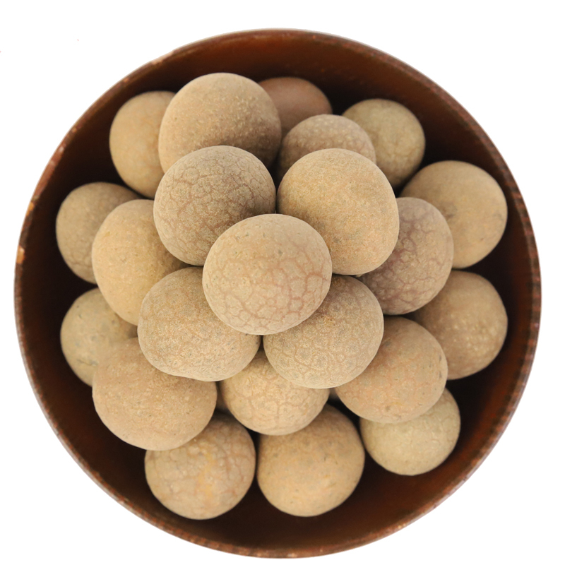 岭味 东北特产 南北干货农家菌类蘑菇 大兴安岭 桂圆干 500g