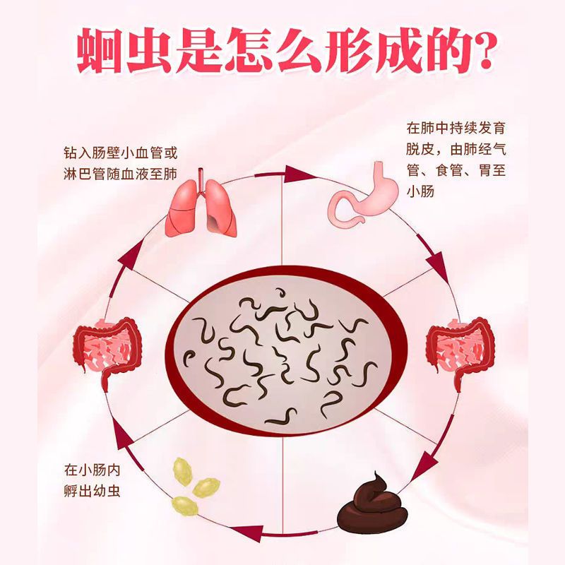 [官方]宝塔糖塔塔糖谷塔糖非成人儿童驱蛔虫小孩开胃打虫糖 [ 1瓶装 体验版 ]经典口味