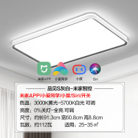 欧普照明新品星空灰客厅吸顶灯现代简约卧室灯套餐灯具米家智控TC