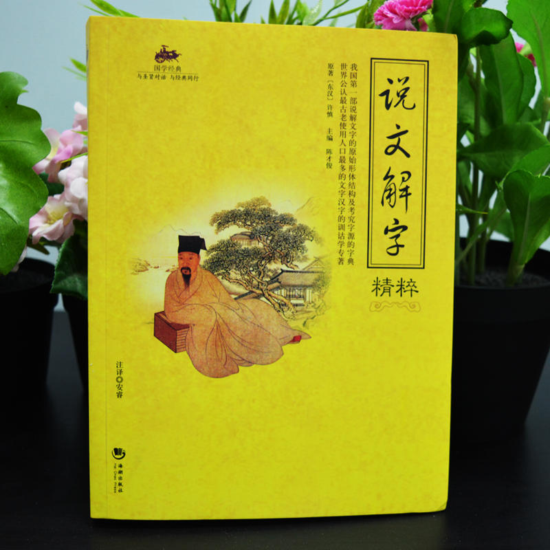 [正版]国学经典 说文解字精粹 说文解字精粹/国学经典详解原文译文注释 中国语言文学书籍 文化工具书 图解古代汉语字典汉高清大图