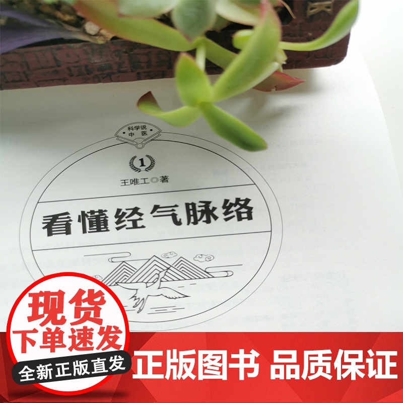 看懂经气脉络:普通人也能看懂的中医书 正版书籍高清大图