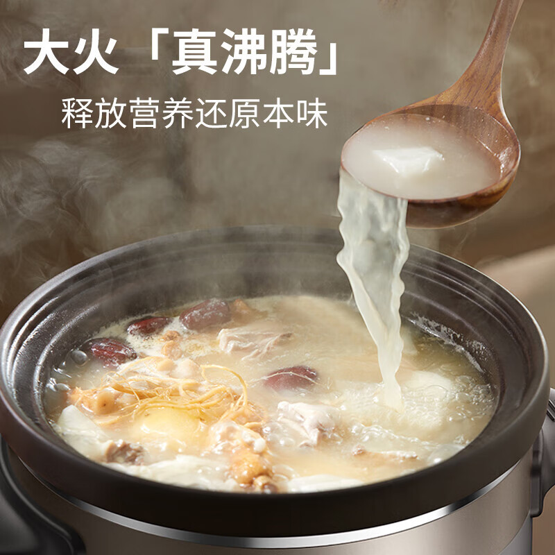 九阳 DG40K-GD993 电炖锅 家用多功能菜单紫砂锅煲汤煮粥锅养生电砂锅可预约1-4人[4L]高清大图