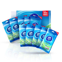 维达(Vinda) 湿巾 洁肤卫生湿巾12片*10包 薄荷冰茶 便携健康出行