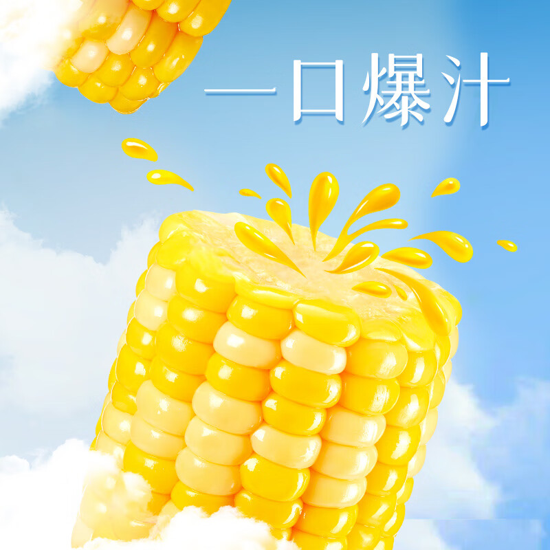 柴火大院金银水果玉米段1kg(100g×10段)开袋即食双色甜玉米脆甜爆汁早餐粗粮高清大图