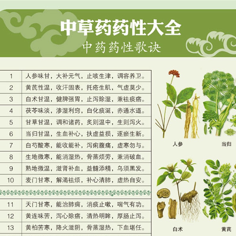 [醉染正版]神农本草经正版珍藏彩图鉴中国医学巨著中医基础理论中药学中草药图谱大全书 药物医学书籍中草药方处方中药养生书籍高清大图