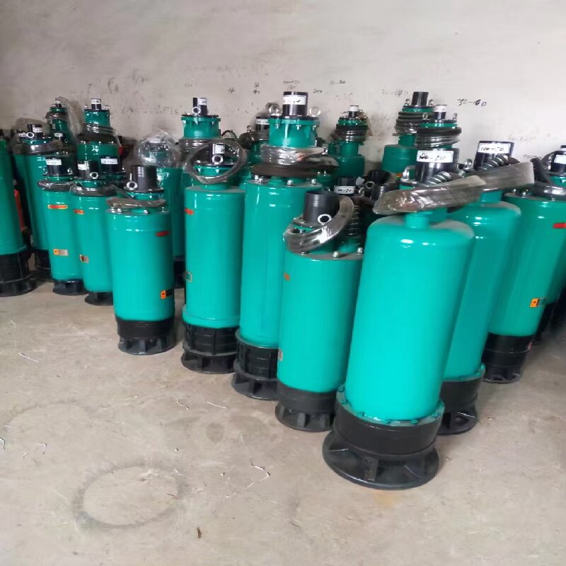 内装式多级泵WQX80-80-30KW 单位/台高清大图