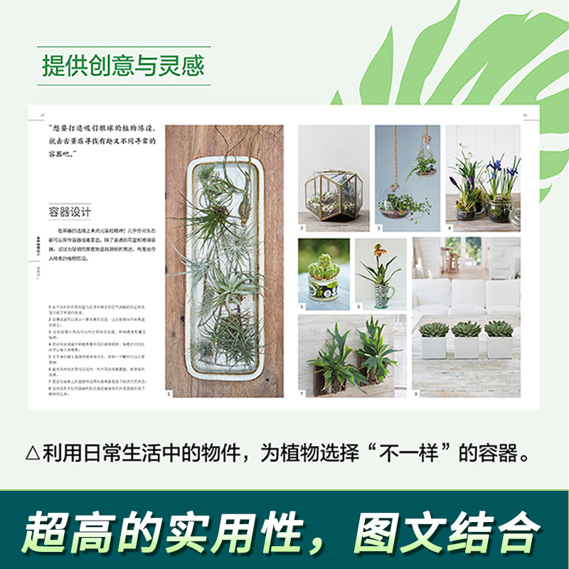 [正版]DK英国皇家园艺学会 家居植物实用百科 家庭园艺实用宝典 在屋内实现花园梦 家庭园艺一本通 养护技能陈设技巧植物高清大图