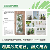 [正版]DK英国皇家园艺学会 家居植物实用百科 家庭园艺实用宝典 在屋内实现花园梦 家庭园艺一本通 养护技能陈设技巧植物