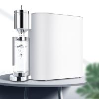 科勒（KOHLER）净饮一体机 家用台式即热直饮水机 净热一体免安装反渗透RO净水器思丹100-科幻银