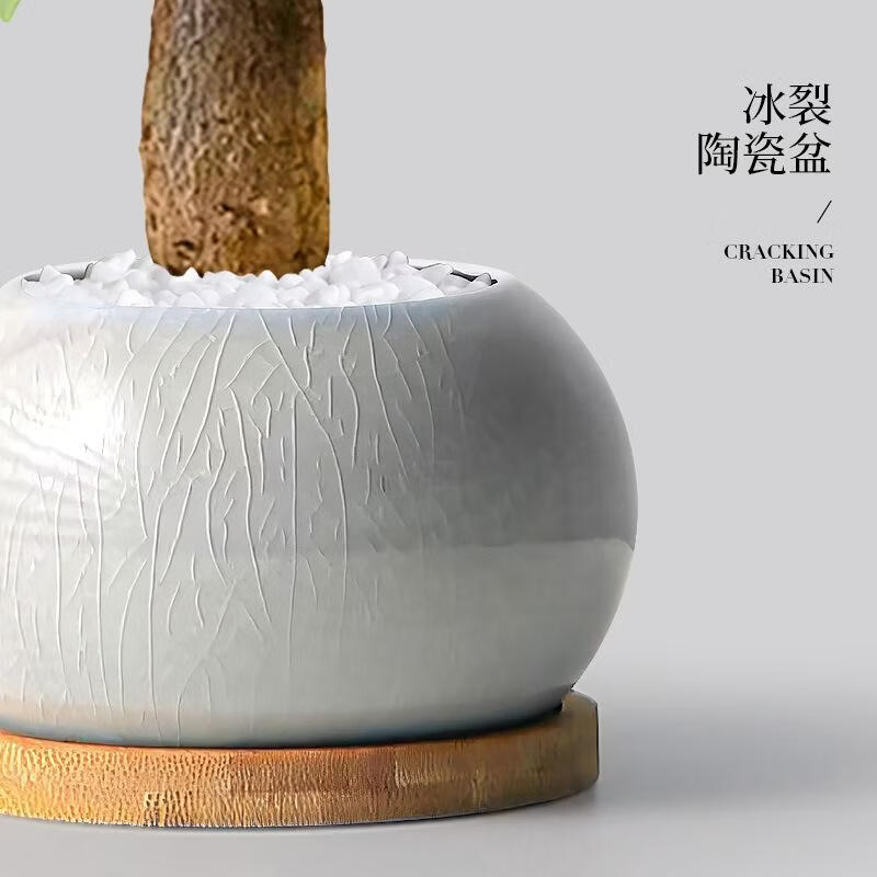 希京SEE KEAN 盆栽办公室创意植物懒人四季好养活室内发财树+水绿色哥窑+木托高清大图