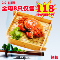 盘锦河蟹 刘力河蟹稻田蟹 盘锦野生鲜活大河蟹 全母2.2-1.8两 8只 大闸蟹礼盒 个个保肥 不肥退款 死蟹包赔