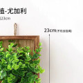 维诺亚ins风小雏菊假花仿真植物墙面装饰室内墙壁假花藤蔓电视背景遮丑 立体仿真壁挂绿植+无相框+尤加利