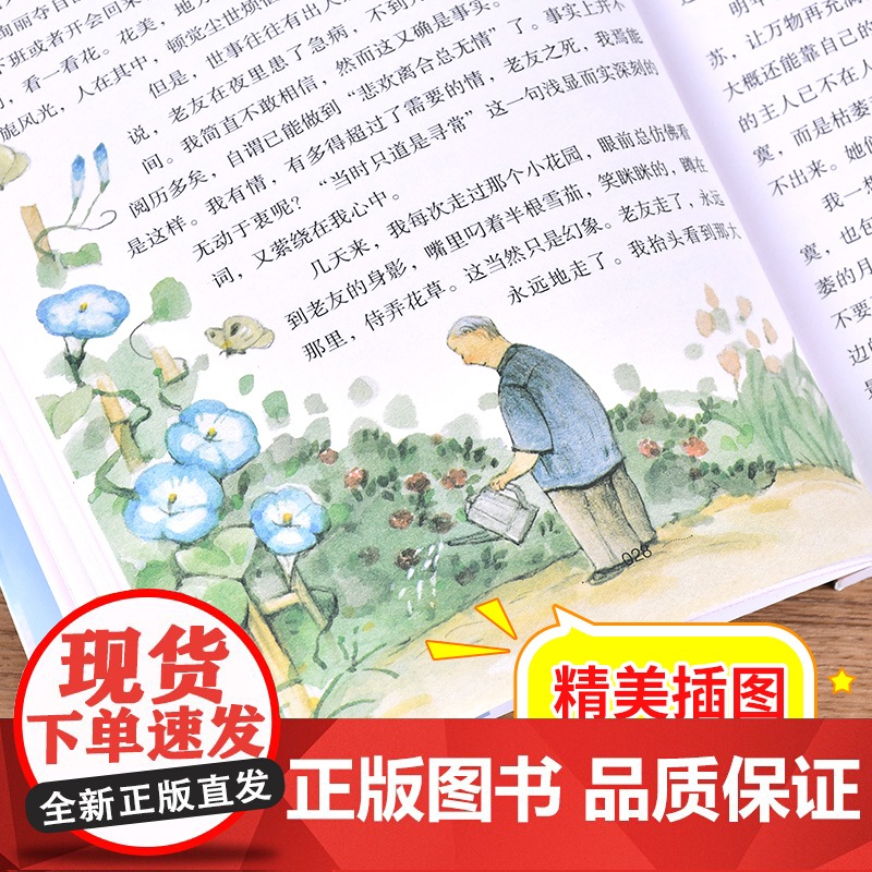 文学名家作品精选(全10册) 季羡林+叶圣陶+汪曾祺+冰心+宗璞+赵丽宏+鲁迅+老舍+朱自清+萧红作品精选高清大图