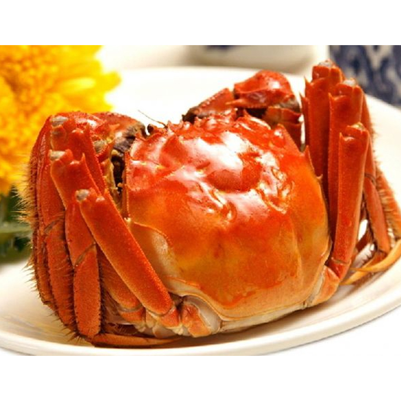 YANGCHENG LAKE HAIRY CRABS 阳澄湖大闸蟹4对688型