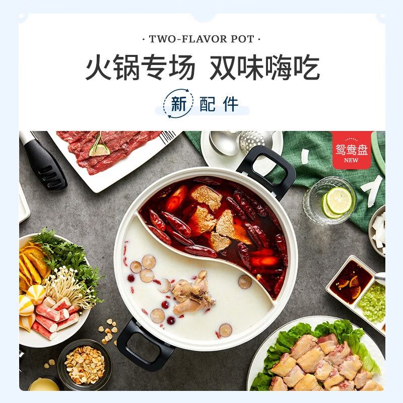 摩飞电器(MORPHY RICHARDS) MR1072 鸳鸯锅盘 多功能锅 MR9087 专用原装配件高清大图