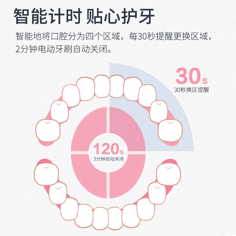 贝贝康电动牙刷D-01-10 绿色 五档模式 声波震动 全身水洗 持久续航 15000转/分钟 高速震动去除牙渍