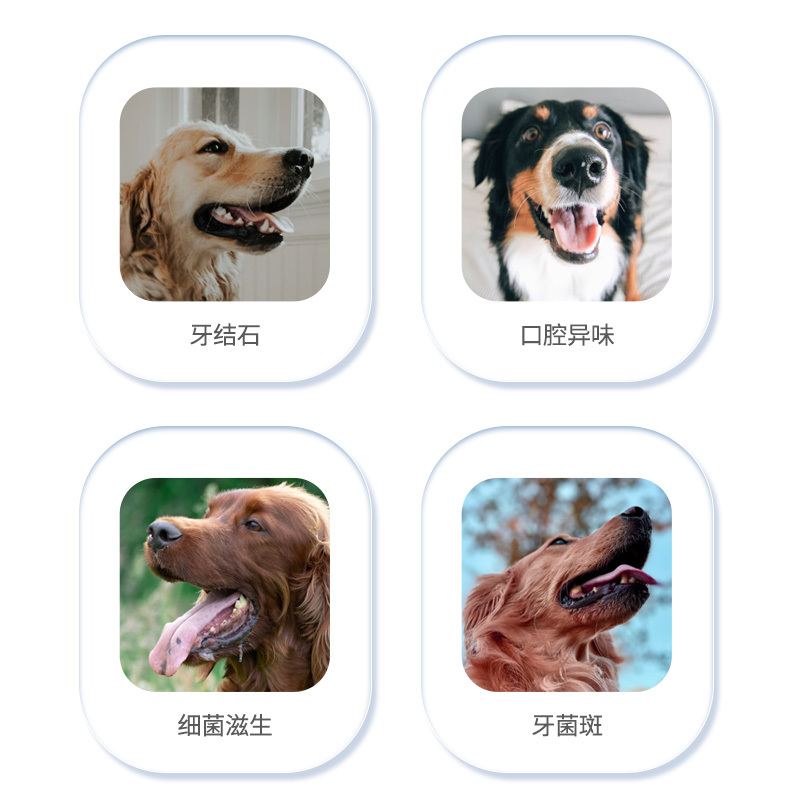 梅爪消毒护理宠物洁牙卫生湿巾50片/罐狗狗洁牙清洁牙齿指套狗狗猫咪去结石除口臭清洁纱布宠物口腔洗牙湿巾刷牙牙刷牙齿纸巾