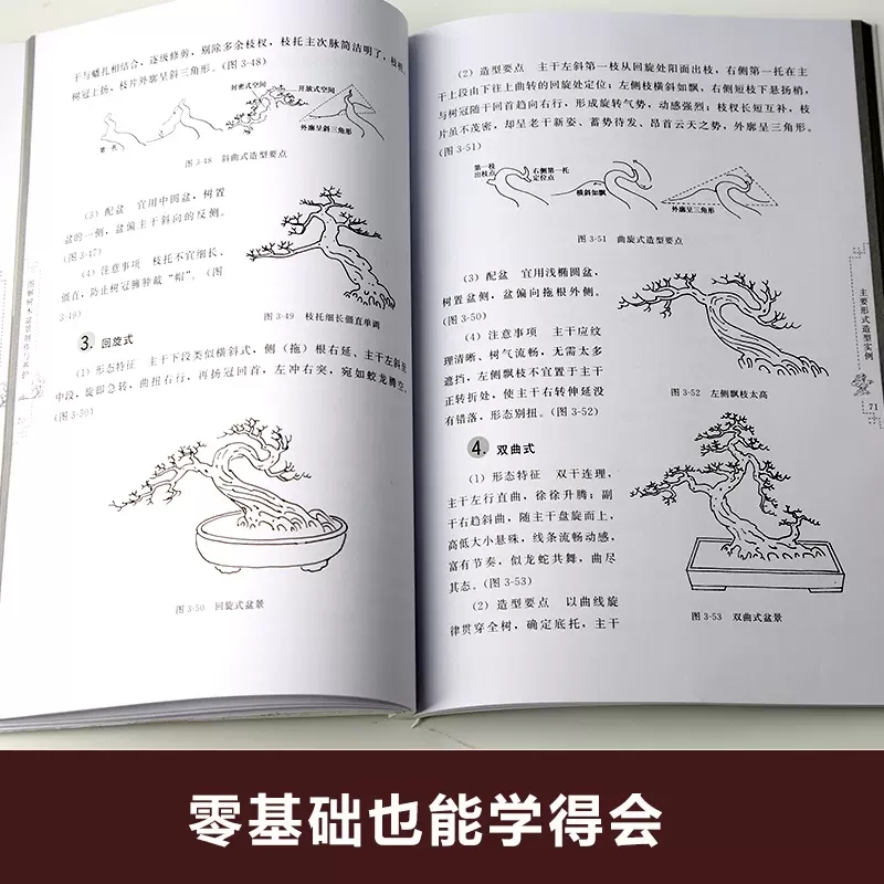 [醉染正版][书图解树木盆景制作与养护 盆景书籍养花图书大全树木盆景造型设计书栽培技术入门教程中小型花卉盆景制作书籍高清大图