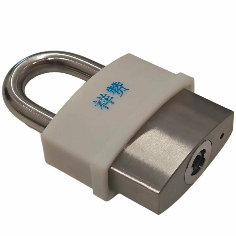 祥赞电子锁XZ-ZNDZS300高清大图