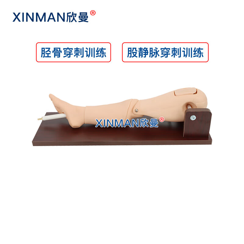 欣曼科教 胫骨穿刺训练模块 骨髓穿刺及股静脉模型 骨内灌注及股静脉穿刺腿部模型XM-GC1高清大图