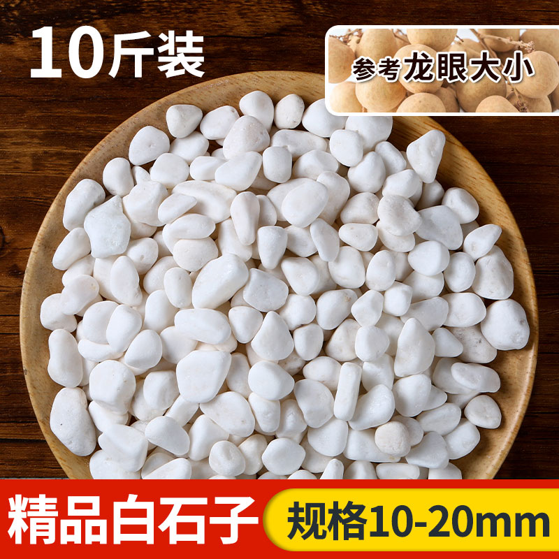 【补贴10%】天然雨花石小白石子多肉铺面盆栽花盆庭院造景装饰白色石头溪流 精选白石子10-20mm10斤