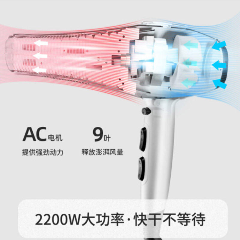 飞科(FLYCO)电吹风机发廊专业2200W大功率吹风筒负离子FH6106