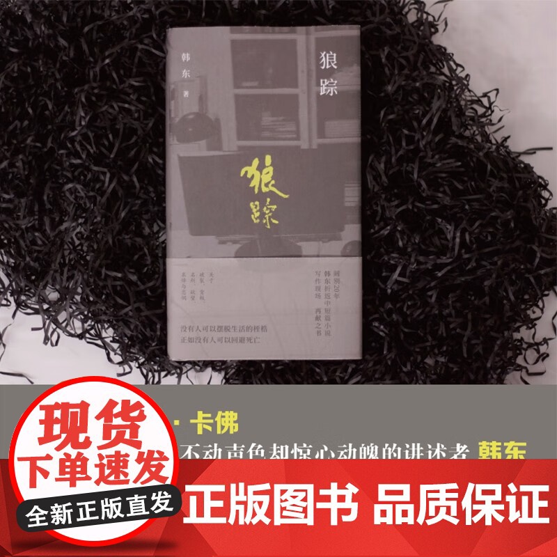 狼踪 韩东著 关于破裂 背叛 名利 欲望 哀悼与悲悯 小说高清大图