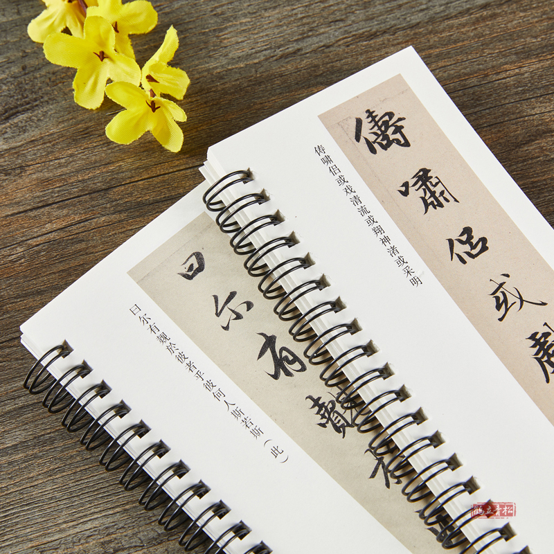 [正版]元赵孟頫 洛神赋 经典碑帖临摹卡近距离临摹字卡临帖卡赵孟俯毛笔行书入门书法书籍