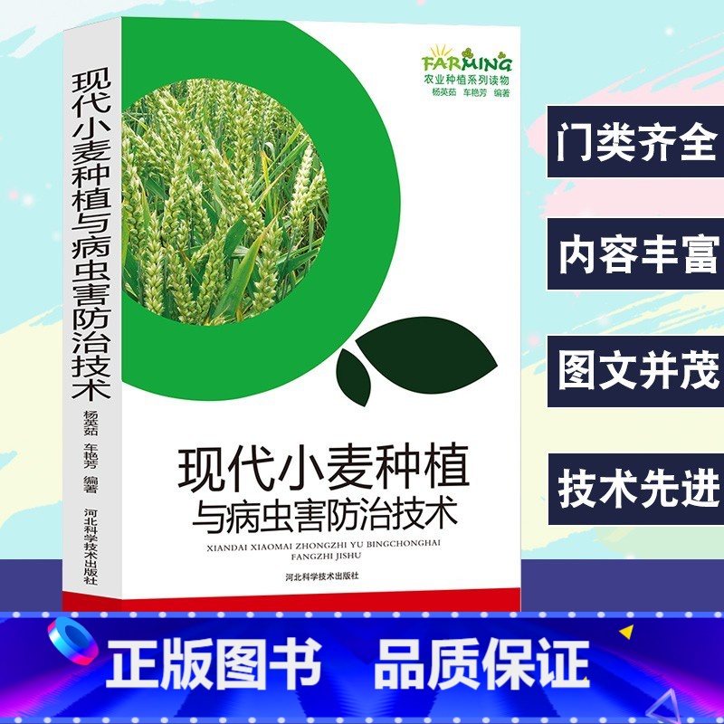 【正版】现代小麦种植与病虫害防治技术农业种植标准化生产优质品质选择播种管理施肥与创新技术冬小麦安全储存技术病虫害防治方法