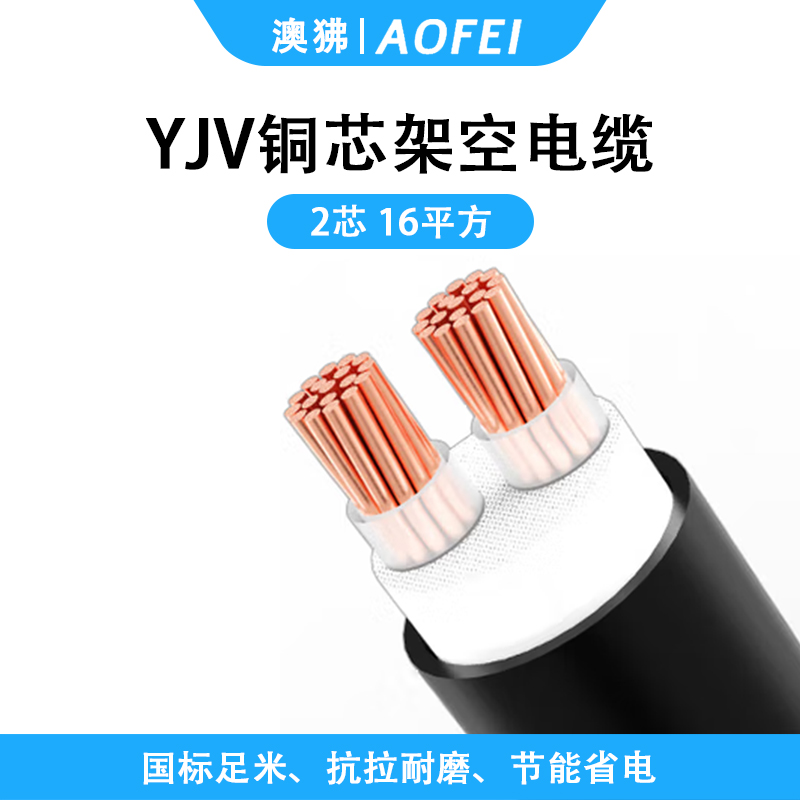 澳狒/AOFEI 电缆线 2芯国标铜芯架空防老化电力电缆 充电桩电源线 1米 YJV-2*16平方
