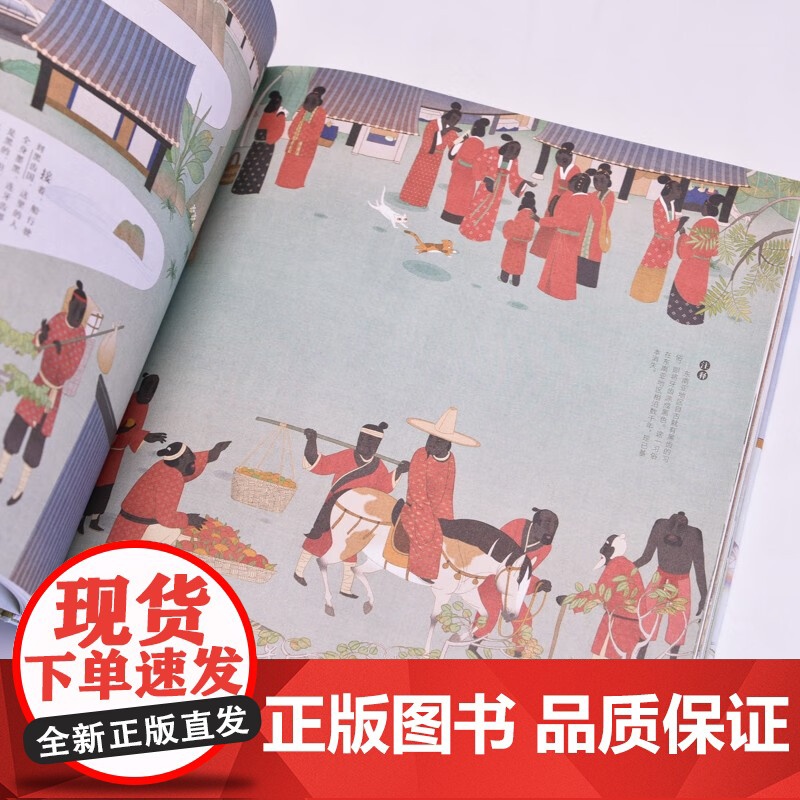 镜花缘传奇 左健等 编著 绘画高清大图