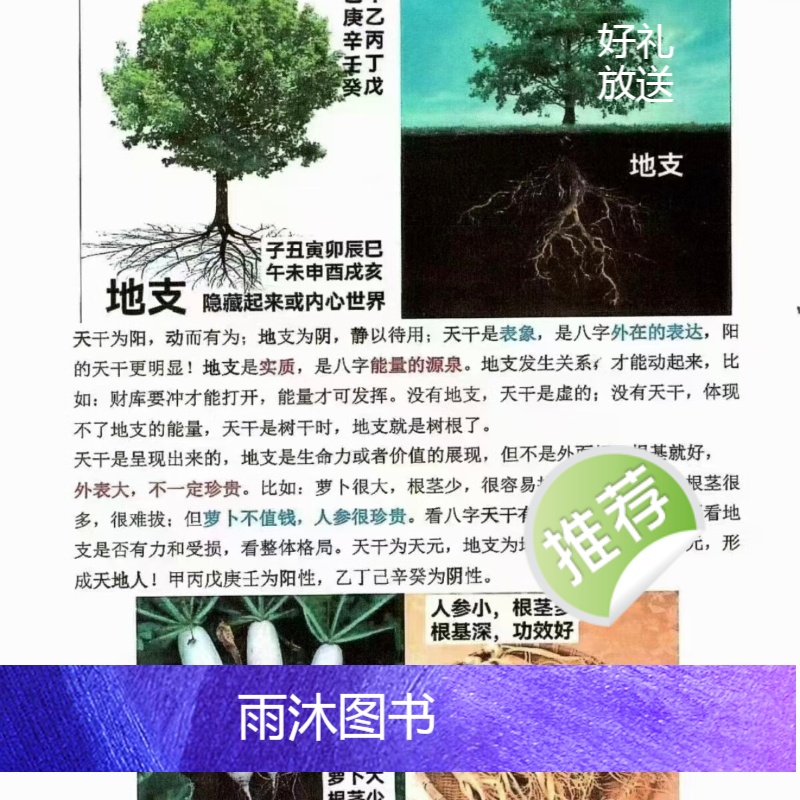 趣味八字 如何看八字 八字案例 附:地支刑冲克害一览表)高清彩色高清大图