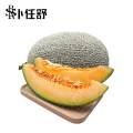 卜任舒 哈密瓜约4.5kg（包装随机发货）