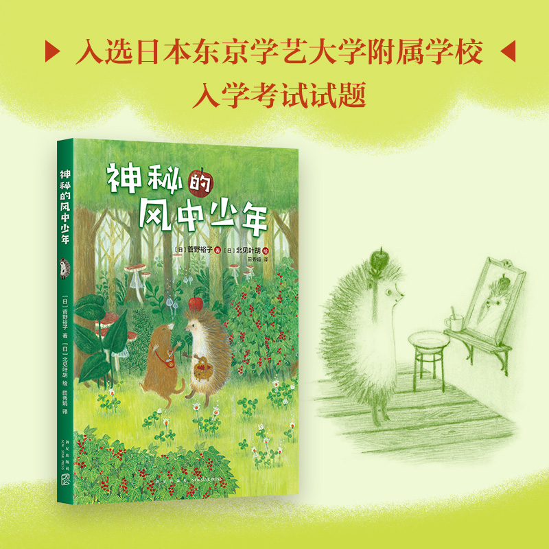 醉染图书神秘的风中少年9787513332439高清大图