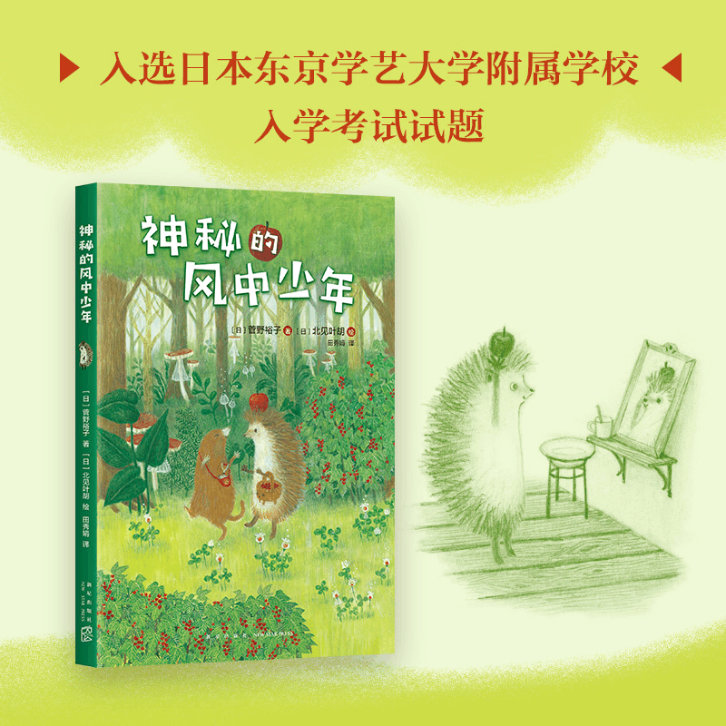 醉染图书神秘的风中少年9787513332439图片