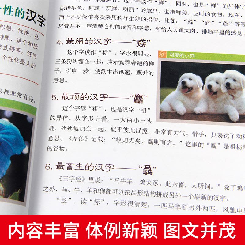 语文中的趣味和魅力 [正版]小升初必读的课外书物理中的趣味和魅力初中生课外书必读趣味数学小四门必背知识点初中语文英语化学图片