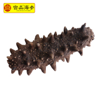 宫品单只淡干小海参家用3.5-3.8cm 1只 每满20只赠1只国产简装盒装