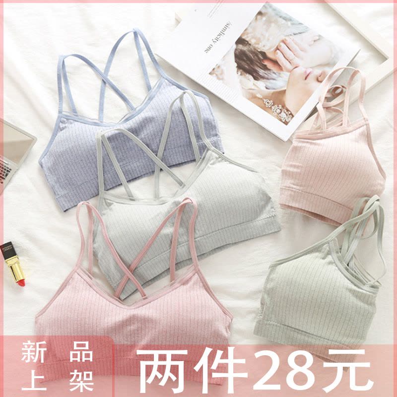 热卖韩版彩棉学生美背交叉裹胸内衣少女吊带性感小蕾丝抹胸文胸女图片